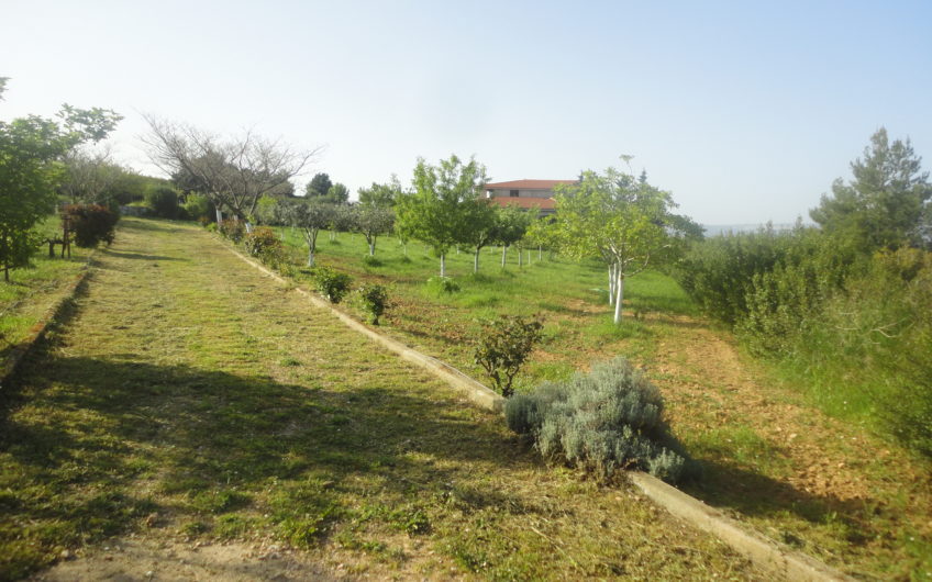 Πωλείται Αγρόκτημα