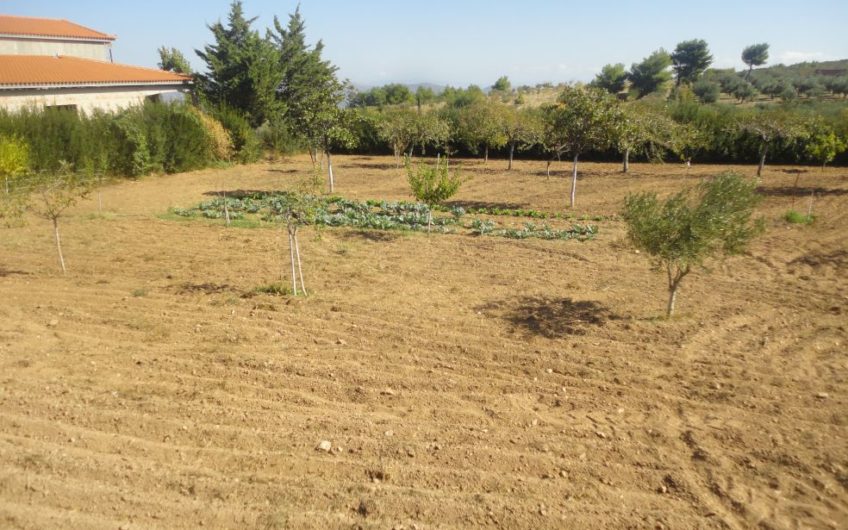 Πωλείται Αγρόκτημα